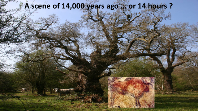 ancient tree and painting