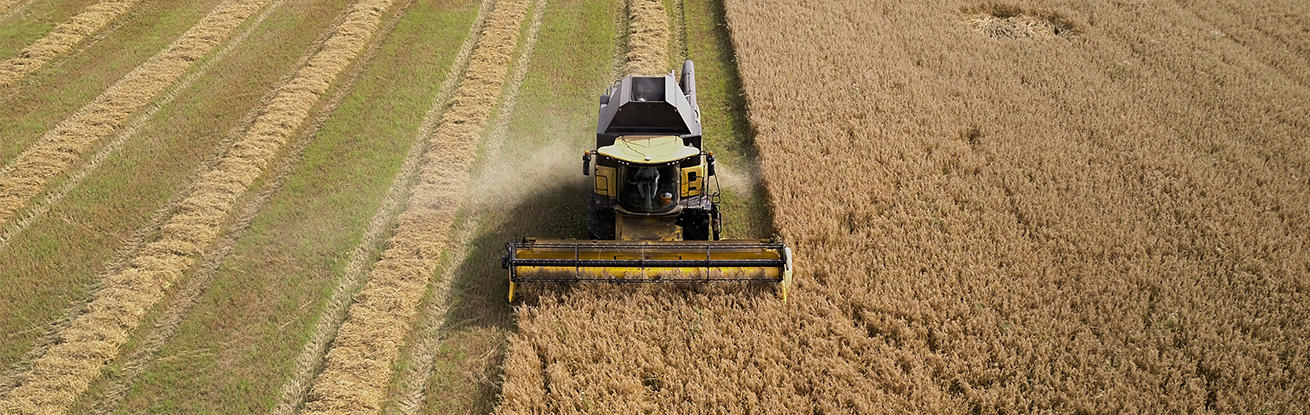 organic arable report.png