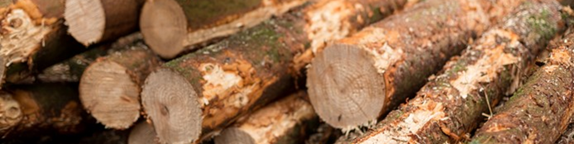 Logs banner
