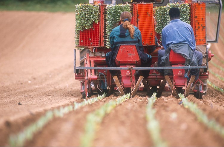 Riverford Farmers