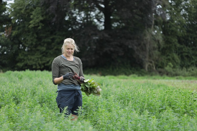 farmer with crops