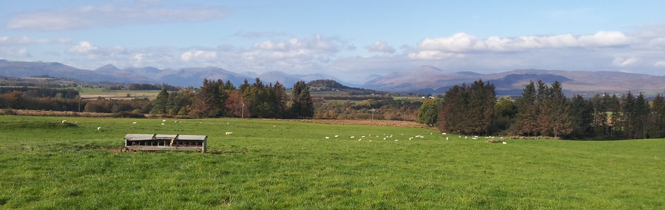 20141014_141539.jpg