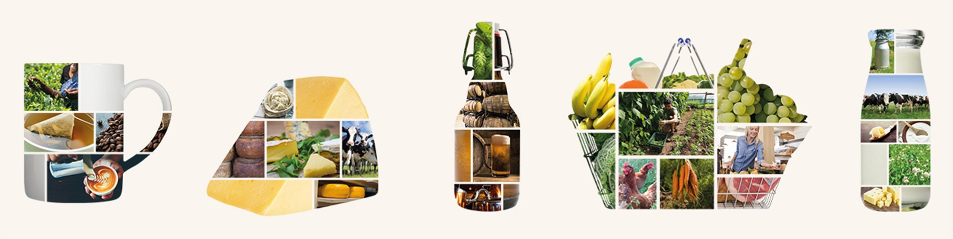 FAISB Banner certification01 1310px X 415px.jpg