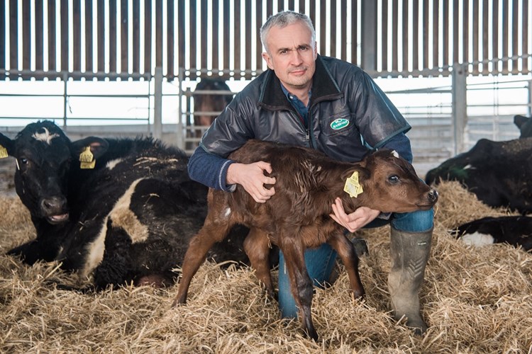Rory Christie and calf
