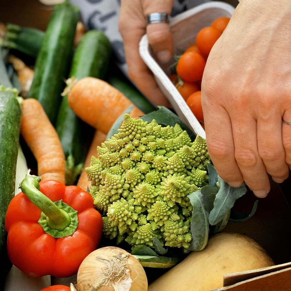 veg_box_riverford_content_organic_19.11.21.jpg