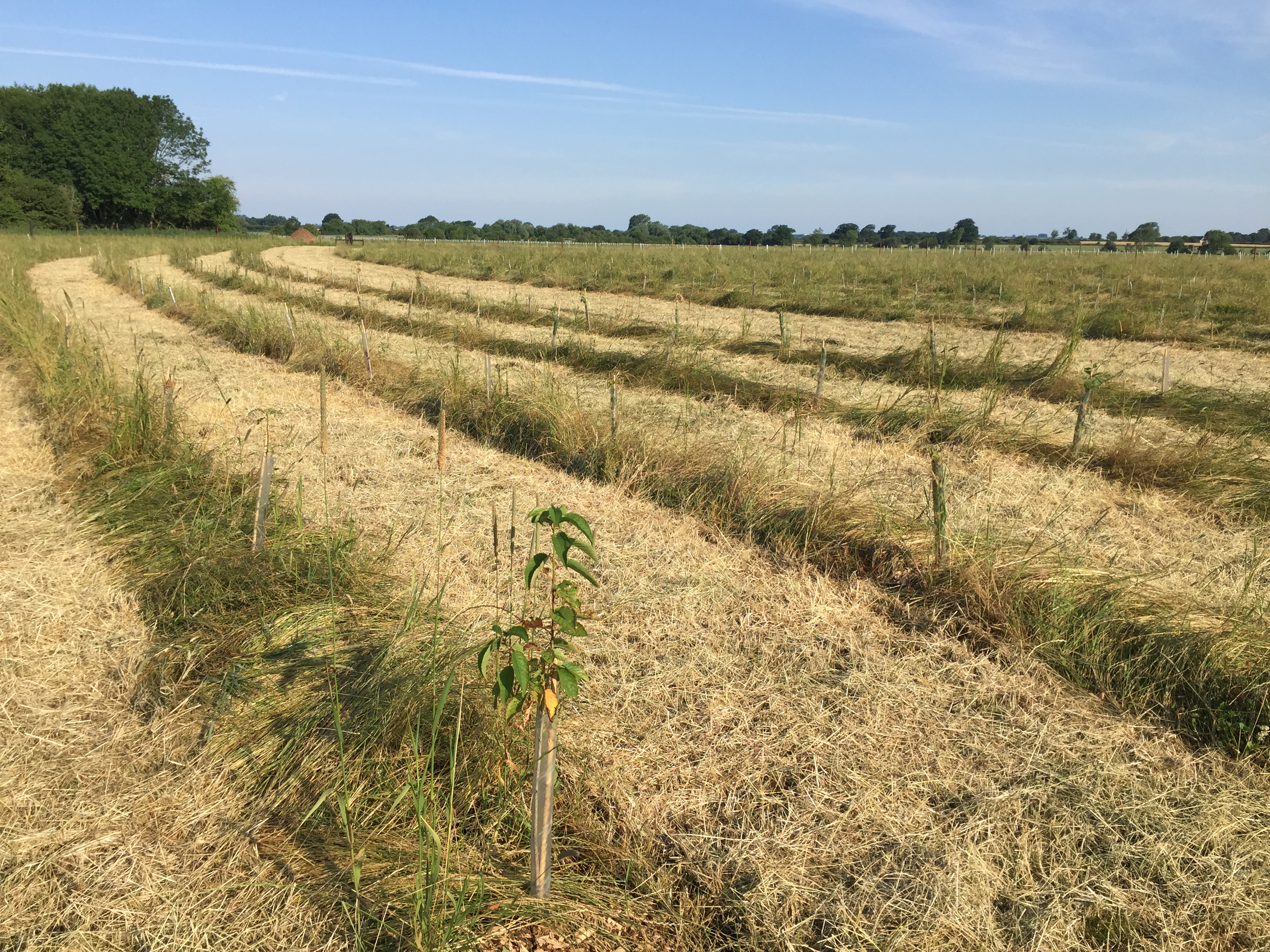 Dealing with Drought at Eastbrook
