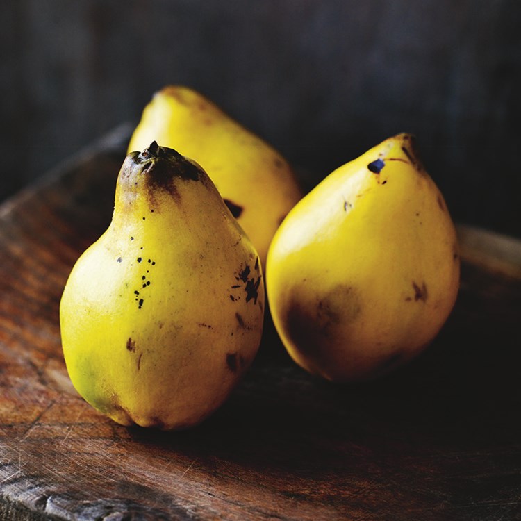 3 quince on a wooden table