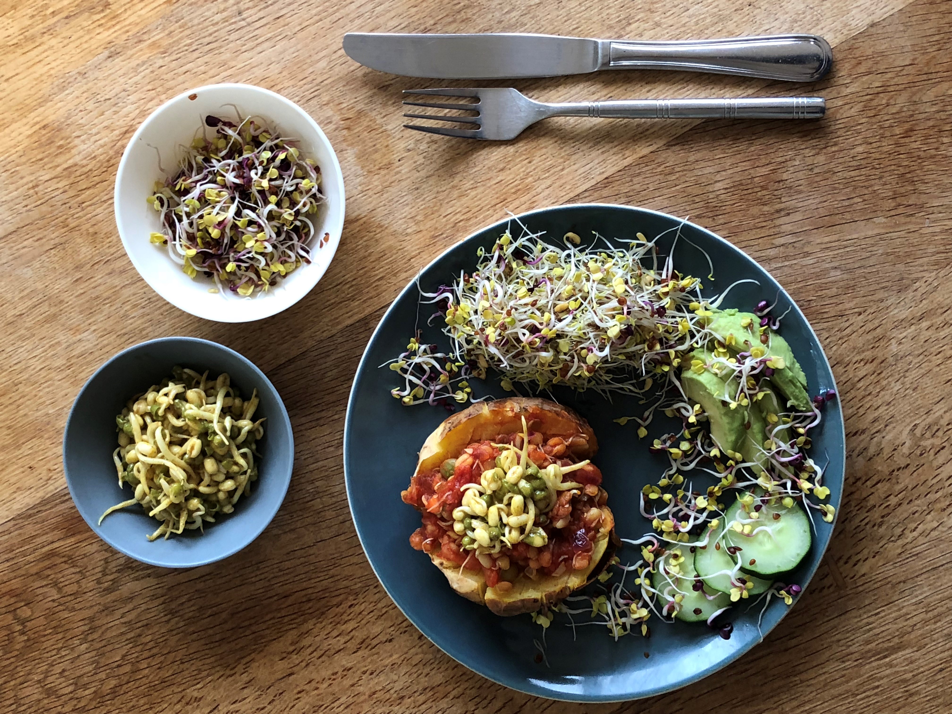 An Introduction to Sprouts