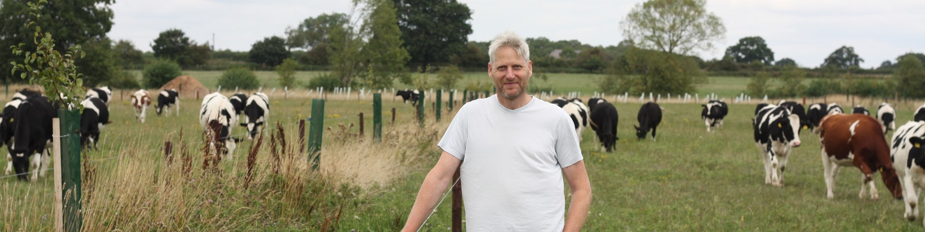 Farm Walks banner 2.jpg