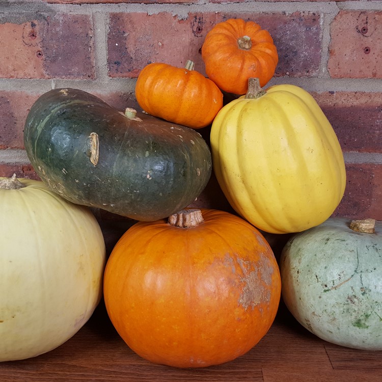Pumpkin Marmalade