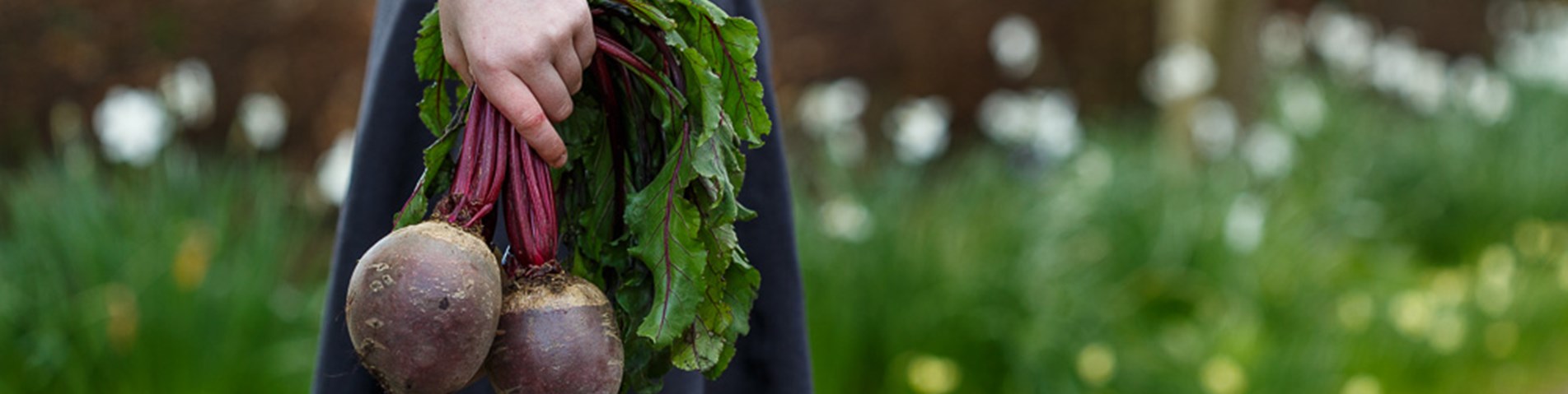 Transforming the way we eat button.jpg