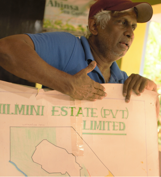showing a map of tea growing areas