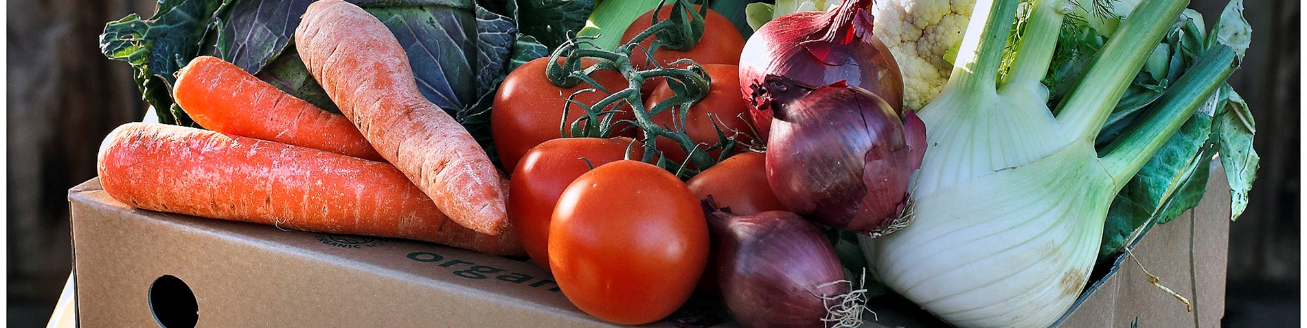 close up veg box.jpg