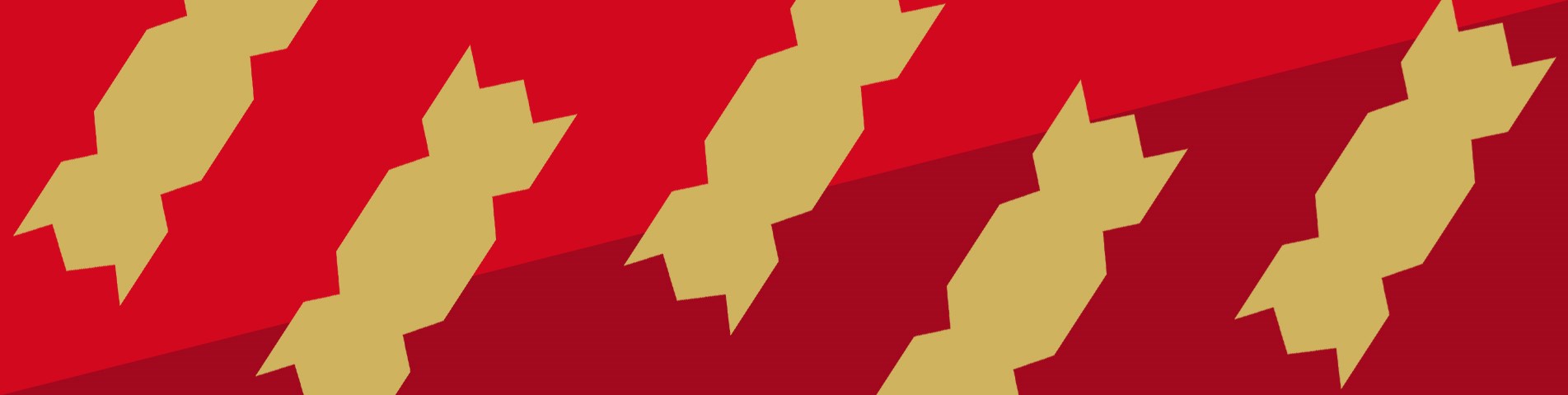 Charity Banner Image-CrackersRED.jpg