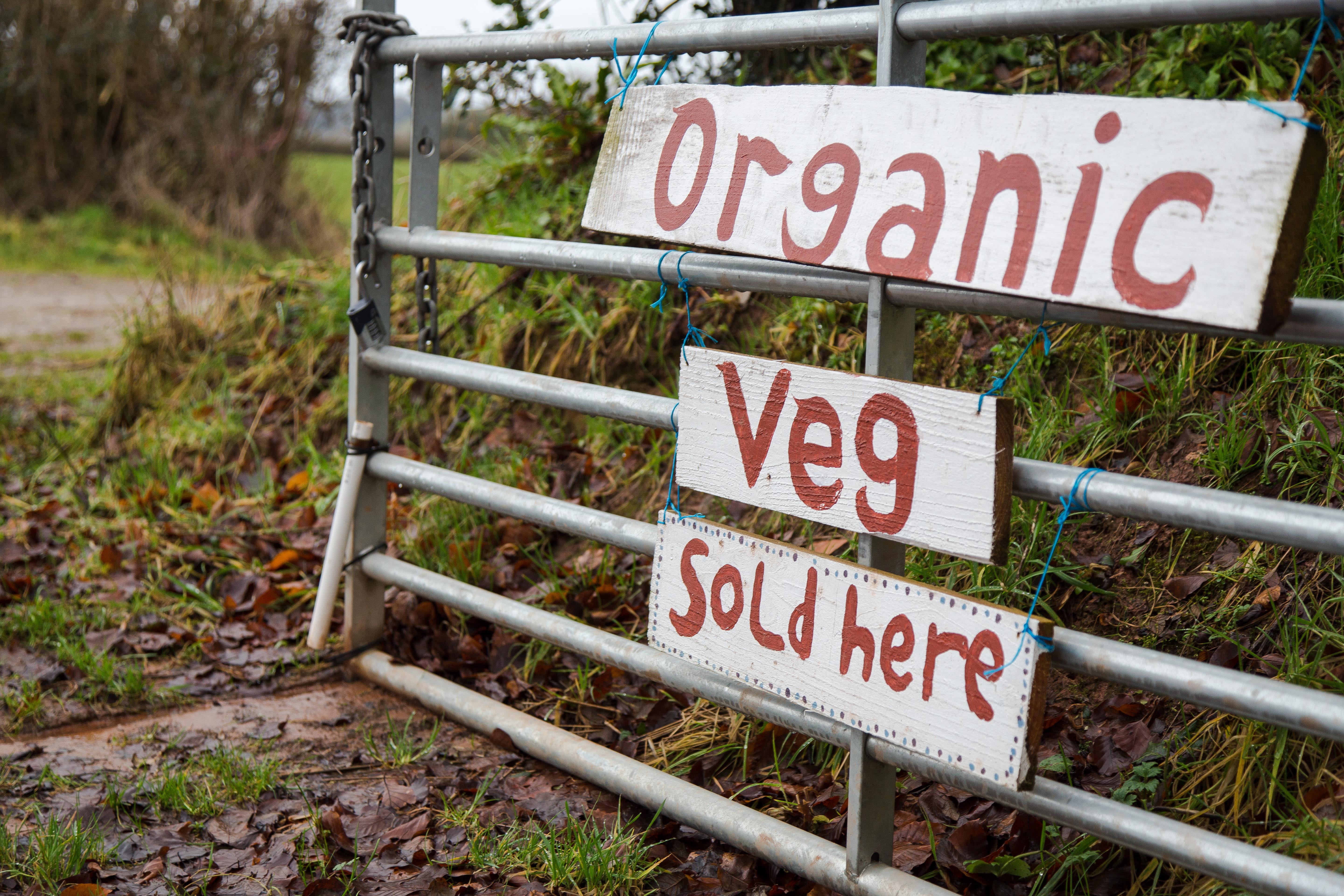 Buy Organic