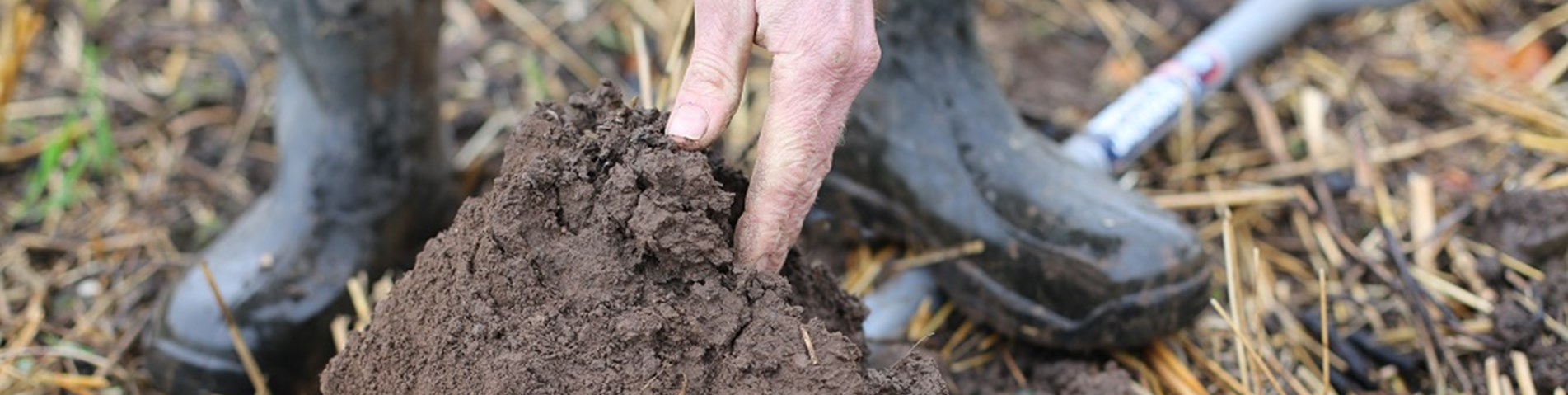Soil2_DougChristie_DurieFarm_Fife_CS web sie.jpg