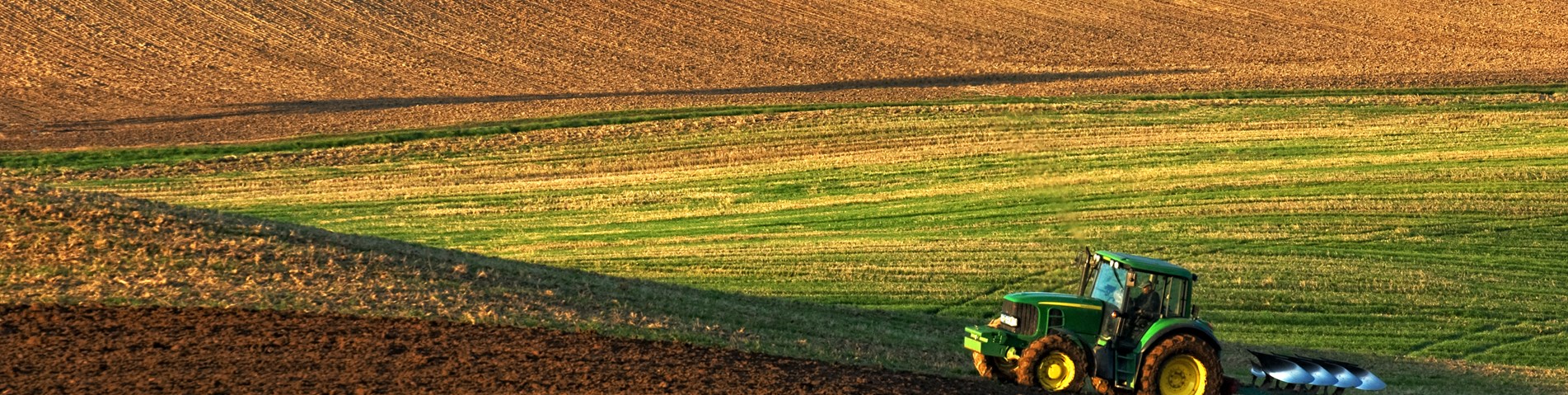 Tractor ploughs a field copy.jpg
