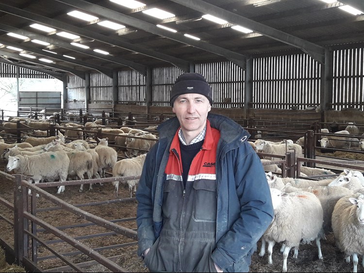 Ken Porter of Tanlawhill Farm