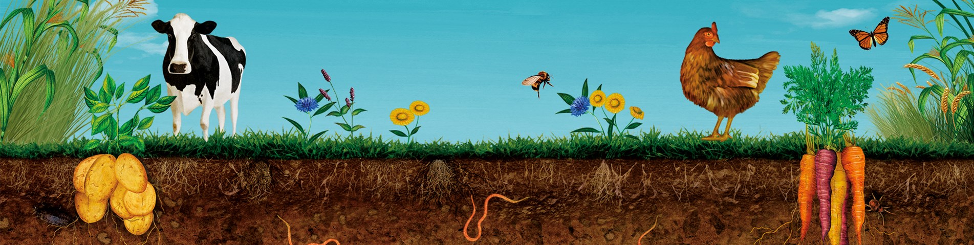 Homepage Banner Image FTGU.jpg