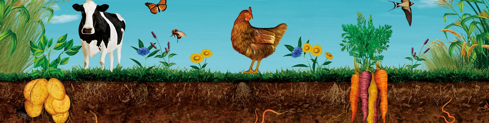 Landing Page Image FTGU_top.jpg