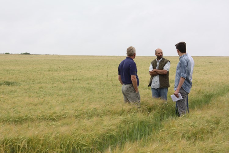 farmers meeting in field