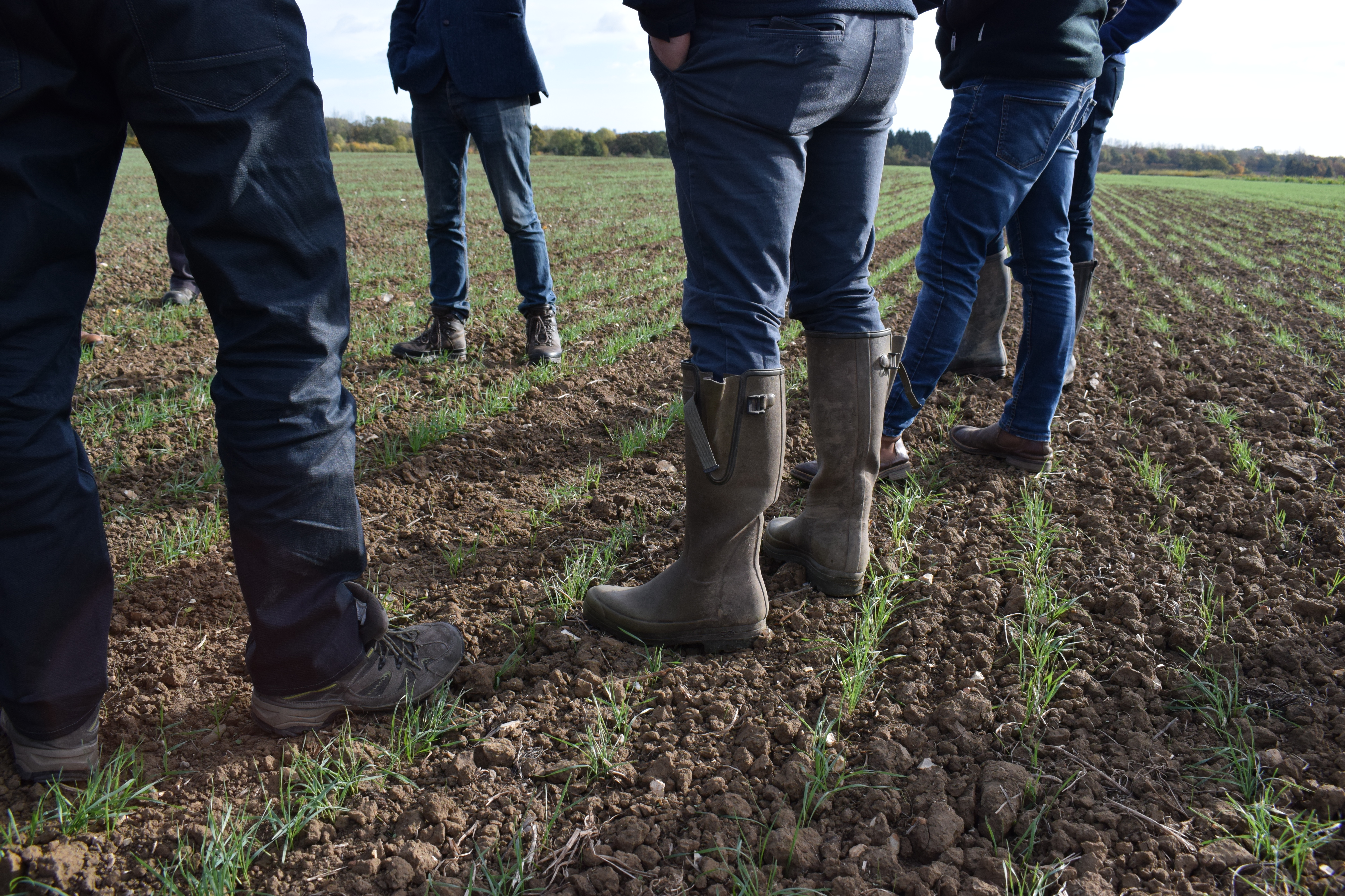 wellies for farmers
