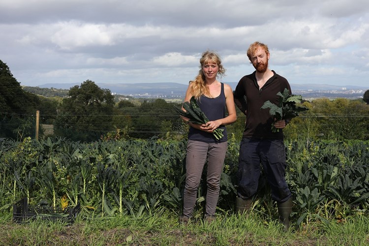 Locavore Farmers