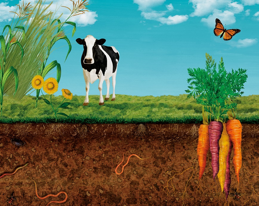 Saving the Earth Starts From the Ground Up