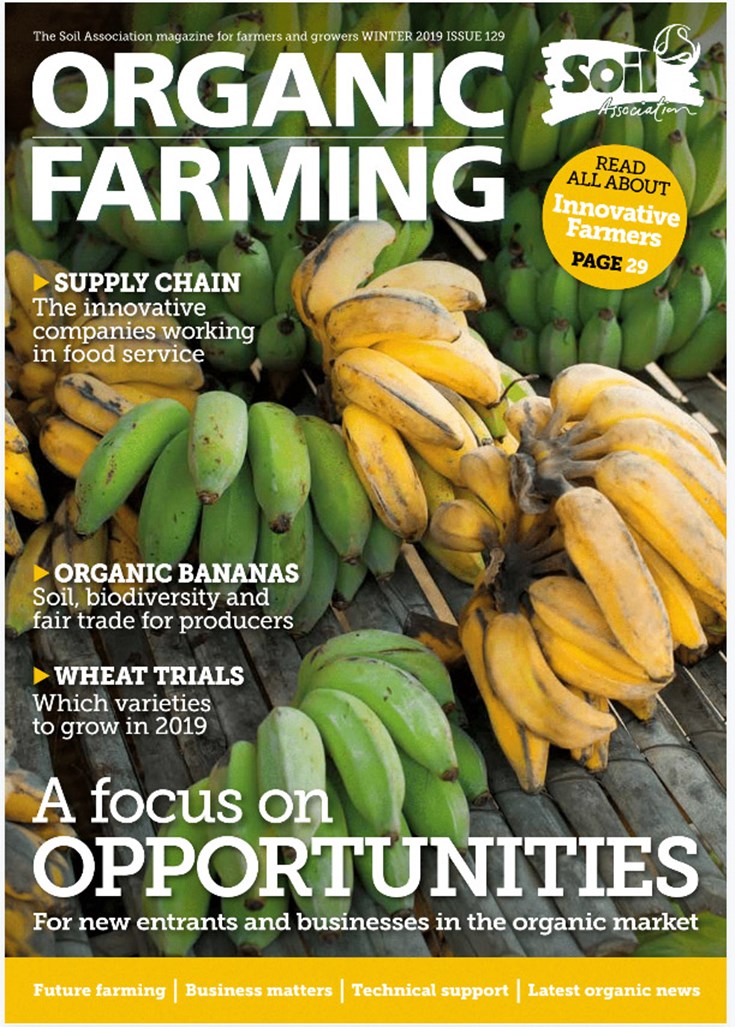 Cover of Winter 2018