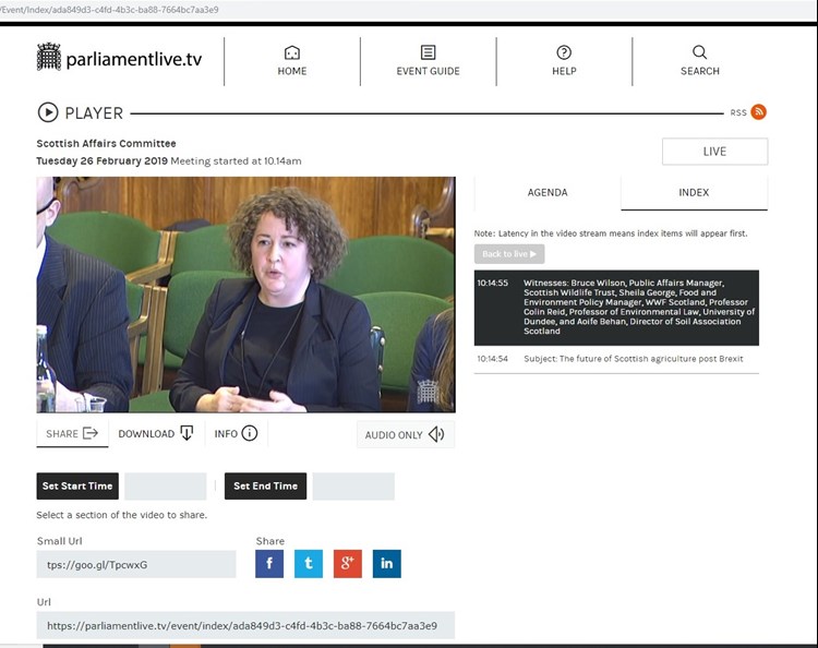 Aoife Behan in Westminster