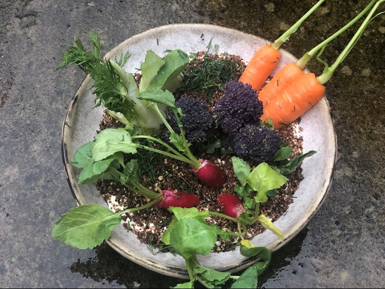 thomasina's edible soil, topped with a selection of hearty organic veg