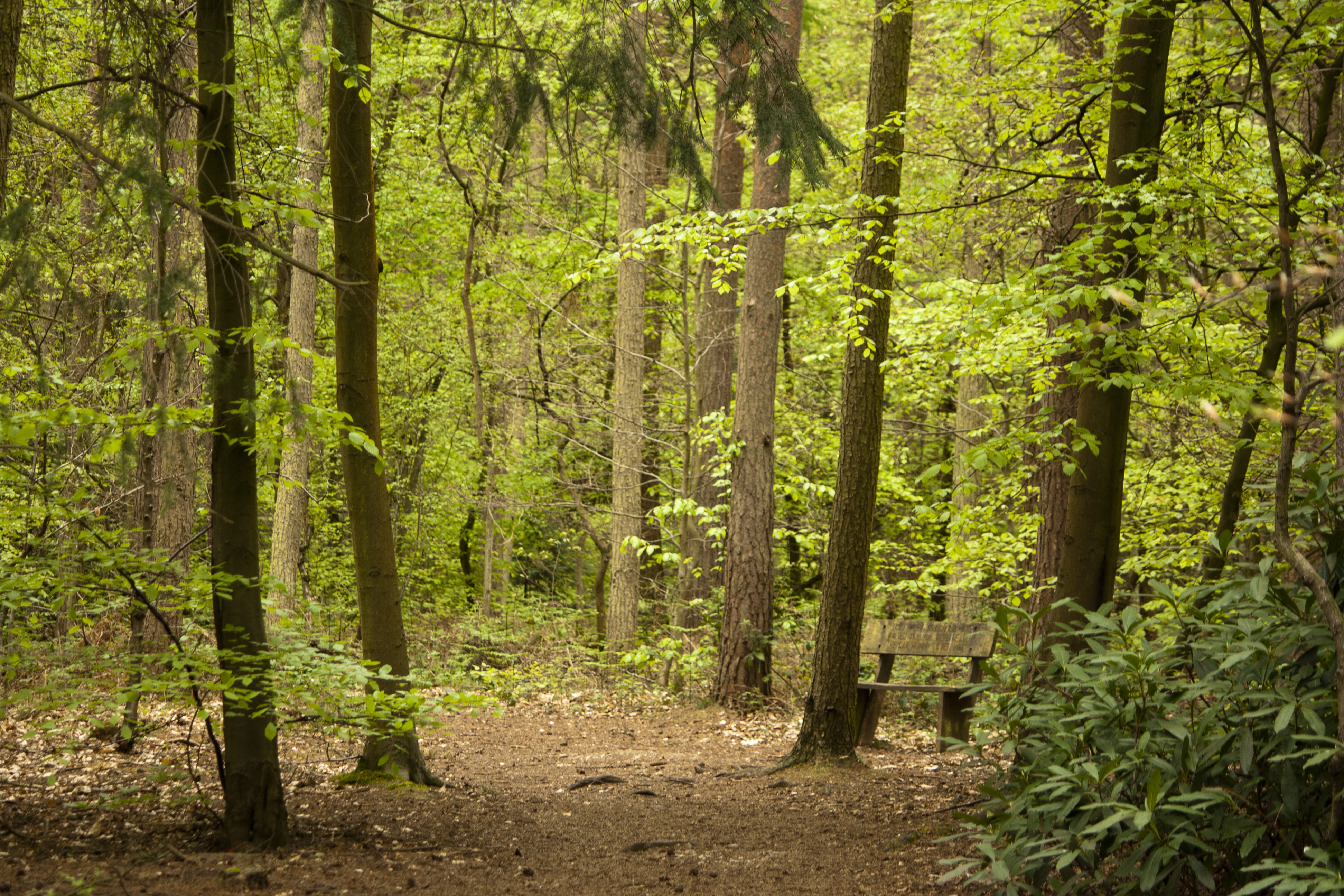 Woodland and trees in the farmed landscape