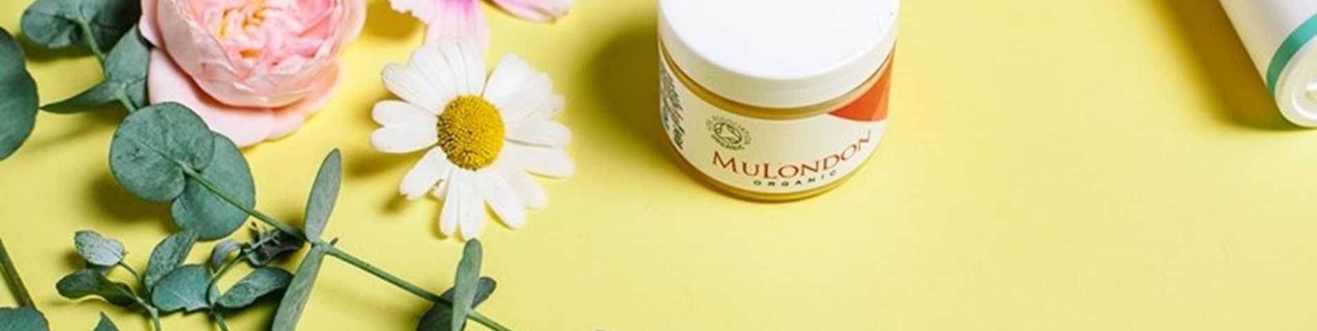 Choose organic beauty.jpg