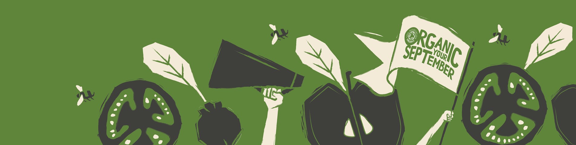 Banner Image- Green A (bordered).jpg
