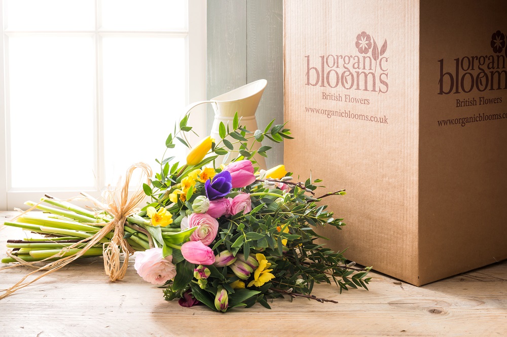 Organic Blooms flowers