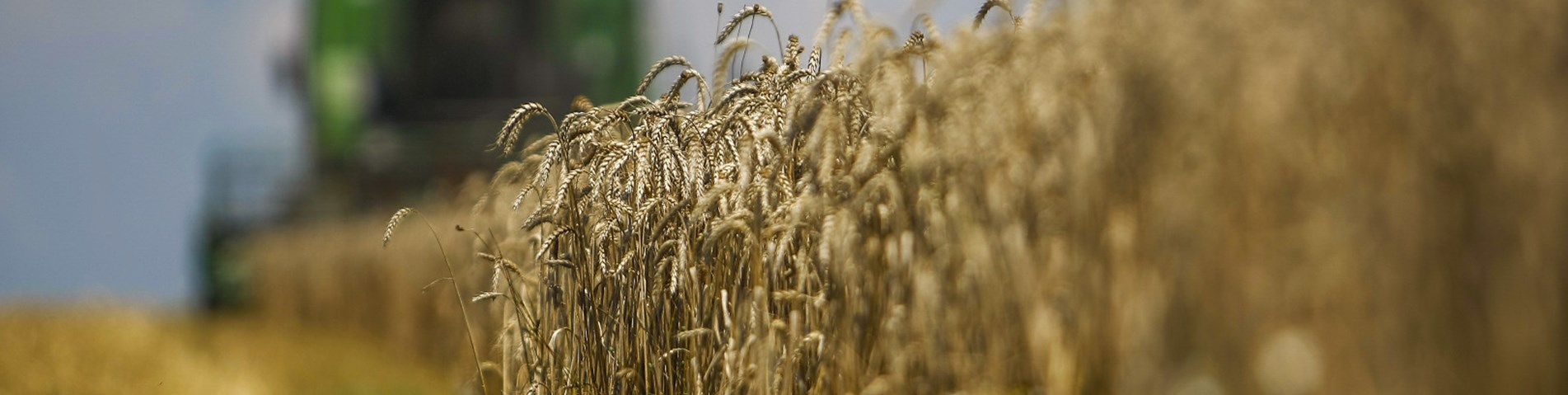 Combine harvester (3)