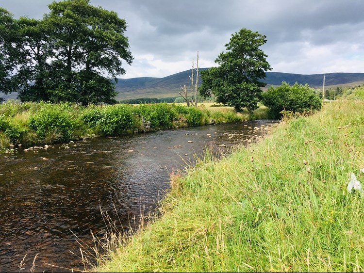 Rottal Burn