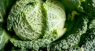 green cabbage.jpg
