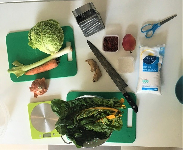 Kimchi ingredients