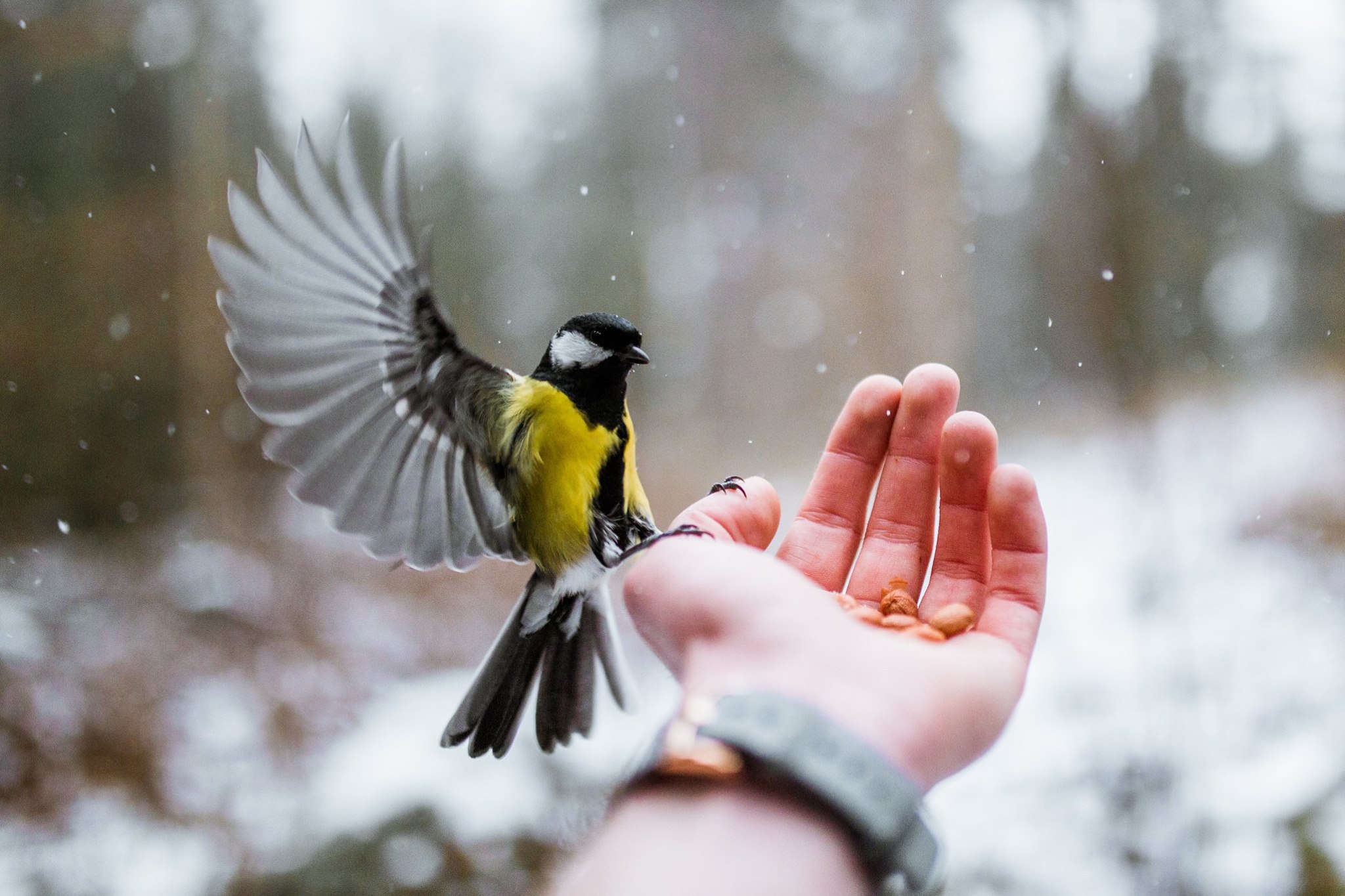 10 ways to have a more sustainable Christmas
