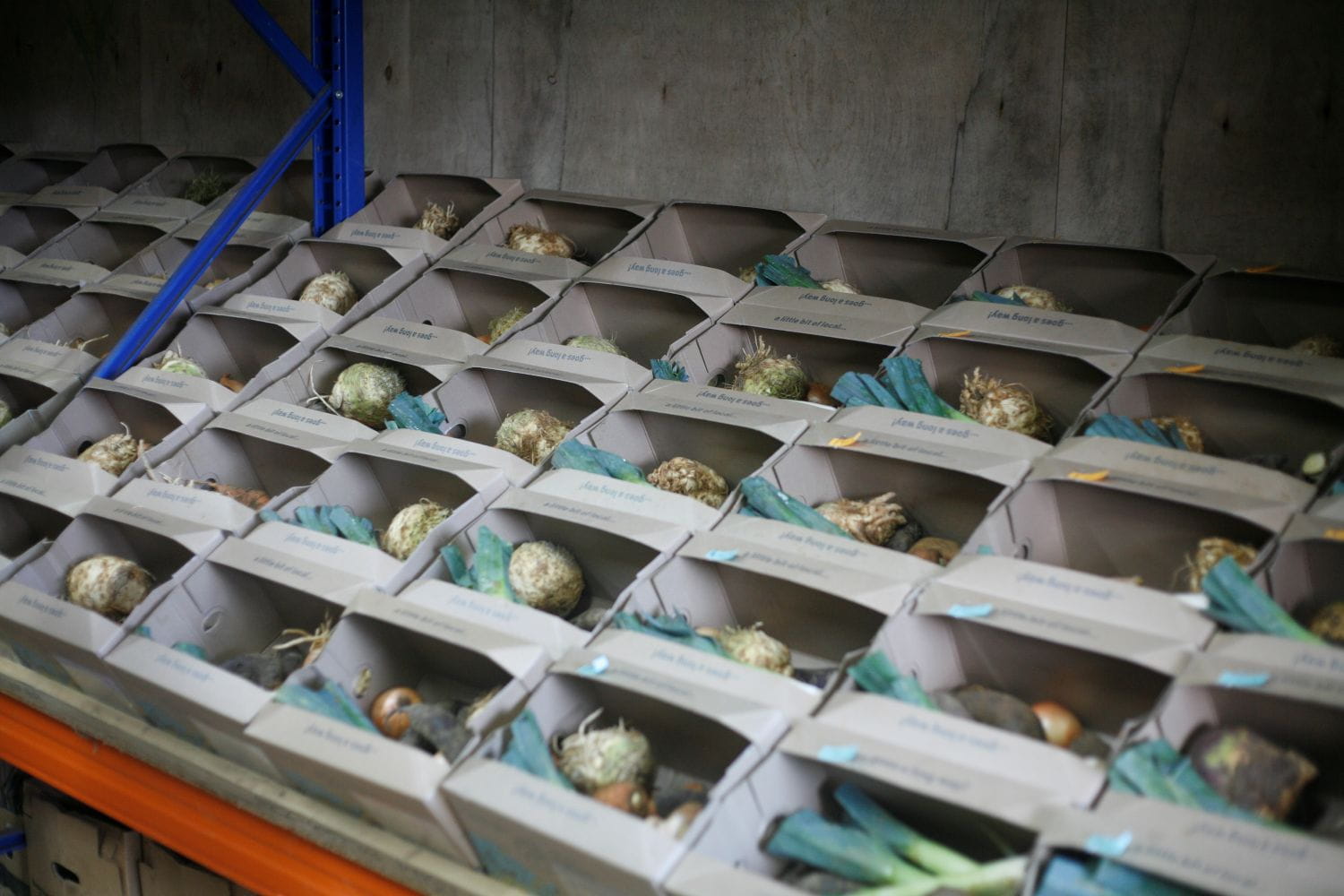 Many vegetable boxes lined up next to each other