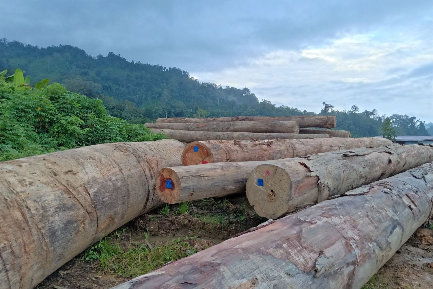 FSC core labour requirements self-assessment