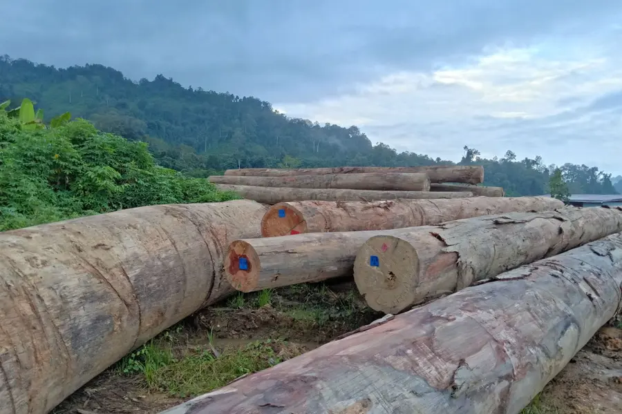 FSC core labour requirements self-assessment