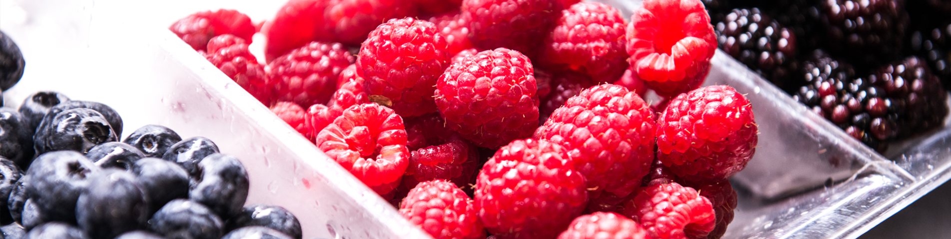 Full strawberries blueberries blackberries east lothian.png