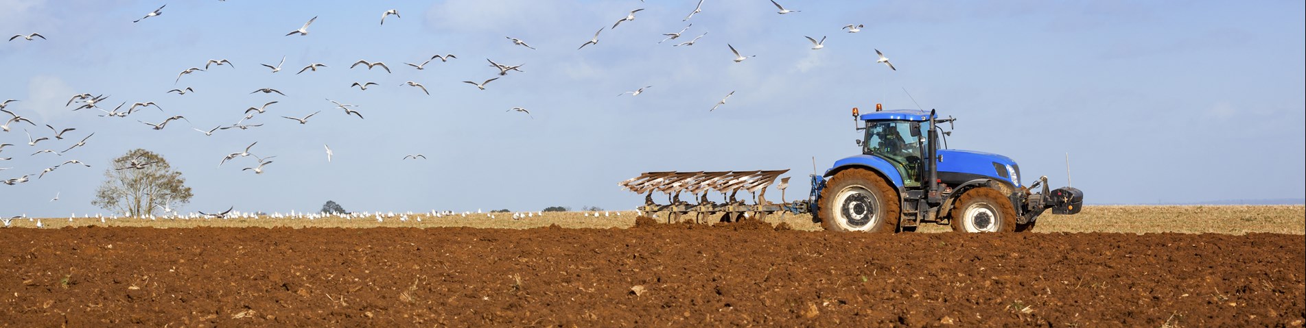 Tractor ploughing