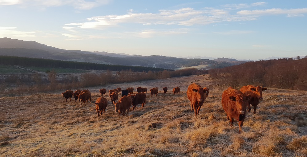 Scotland Farming Programmes