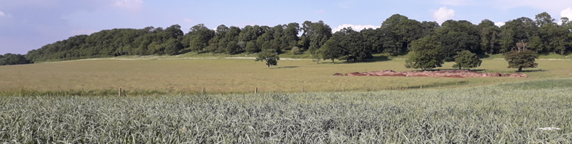 Adrian Chapel Farm 1.png