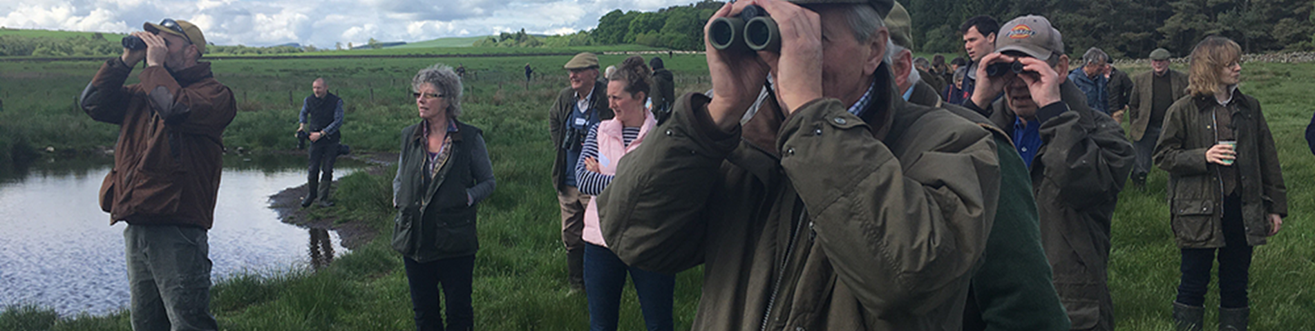 looking for waders - web.png