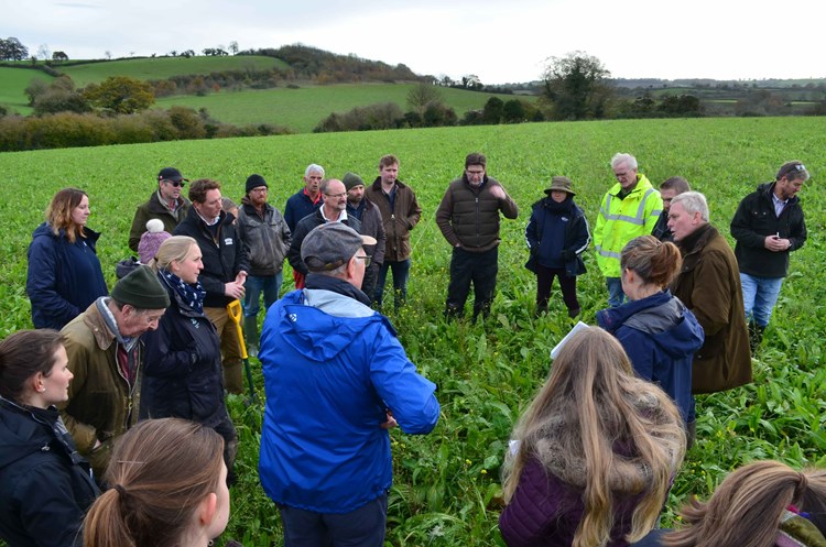 farmers standing in a field