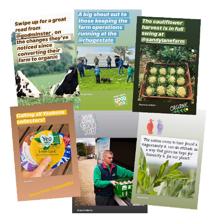 A montage of @soilassociation Instagram stories of our clients